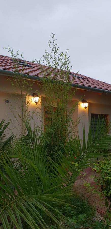 Fuered Deluxe Garden Apartment Balatonfüred Exteriör bild